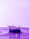 Water splash in purple tone Royalty Free Stock Photo