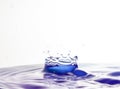Water splash in purple tone with white background Royalty Free Stock Photo