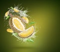 Water Splash On Ripe Durian Fruit isolated On green Background