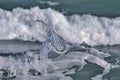 Water splash on sea/ocean wave crest against blurred backg