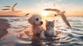 water splash ,seagull fly ,dog and cat play in sea water on beach at sunset Royalty Free Stock Photo