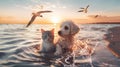 water splash ,seagull fly ,dog and cat play in sea water on beach at sunset Royalty Free Stock Photo