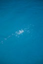 Water splash in swimming pool on blue background Royalty Free Stock Photo