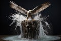 water splash from a thrown stone resembling a flying eagle