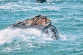 Water splashes close-up. Crystal clear sea water hitting the rocks, the power and beauty of the ocean, waves crashing Royalty Free Stock Photo