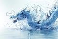 Water splashes in the shape of a dragon isolated on a white background, a detailed illustration Royalty Free Stock Photo