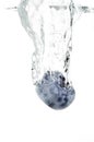 Water splashing blueberry #2 Royalty Free Stock Photo