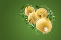 Water splashing and Fresh Chinese pear fruit isolated on green background Royalty Free Stock Photo