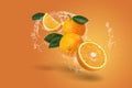 Water splashing on Fresh Sliced oranges and Orange fruit on the Orange background Royalty Free Stock Photo