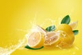 Water splashing on Fresh Sliced Ripe yellow lemon fruit isolated on yellow background Royalty Free Stock Photo