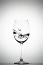 Water splashing in a wine glass Royalty Free Stock Photo