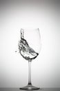 Water splashing in a wine glass Royalty Free Stock Photo