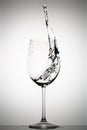 Water splashing in a wine glass Royalty Free Stock Photo