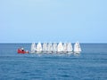 Water sport. Training of children on dinghies. Royalty Free Stock Photo