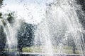 Water spray against the background of trees Royalty Free Stock Photo