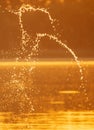 Water spray at sunset in summer Royalty Free Stock Photo