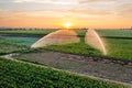 Water spraying system hydrates plants on agricultural field