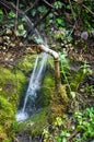 Water sprays in all directions Royalty Free Stock Photo