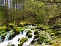 Water spring in Kamniska Bistrica, Slovenia