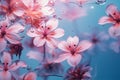 Water spring pink nature bright summer flora flower blossom detail plant