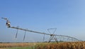 Water sprinkler in the corn field Royalty Free Stock Photo