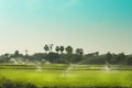 Water sprinkler distribute water in a paddy field