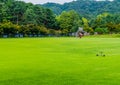 Water sprinkler in field