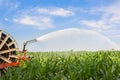 Water sprinkler installation in a field of corn. Royalty Free Stock Photo