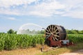 Water sprinkler installation in a field of corn. Royalty Free Stock Photo