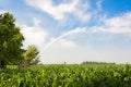 Water sprinkler installation in a field of corn. Royalty Free Stock Photo