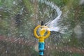 Water sprinkler