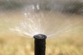 Water sprinkler on landscaped lawn