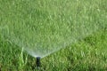 Water sprinkler showering grass