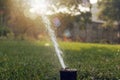 Water sprinkler spraying water on a green lawn