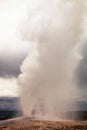 Water and steam explosion of the Old Faithful Geyser, Yellowstone National Park, Wyoming, USA Royalty Free Stock Photo