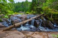 Stream Algonquin Park Ontario Canada