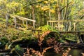 Water and stone bridge Royalty Free Stock Photo