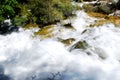 Water, Stone, Trees