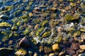 water and stones in lake Vattern Sweden Royalty Free Stock Photo