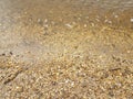 Water and stones or pebbles and shells at the beach Royalty Free Stock Photo