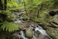 River Stream Water Flow View in Jumog, Karanganyar, Indonesia Royalty Free Stock Photo