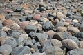 Water stones rocks pattern. Pebbles near water. Round stones background. Nature background. River bed and shore Royalty Free Stock Photo