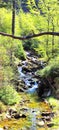 water stones tree stream mountains nature closer to nature stream in the mountains Royalty Free Stock Photo