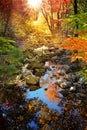 Water stream through autumn trees in Vermont Royalty Free Stock Photo