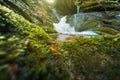 Water stream cascades with green moss