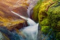 Water stream cascades with green moss and sunlight Royalty Free Stock Photo