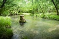 Water stream with a cut down tree in the middle Royalty Free Stock Photo