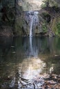 Water stream falling on a quiet pond in a beautiful autumn forest landscape Royalty Free Stock Photo