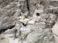 Water stream flowing on mountain rock structures