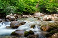 Water stream in forest Royalty Free Stock Photo